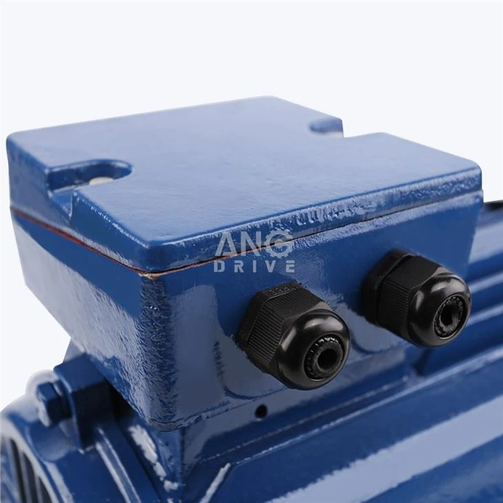 55KW Electric Motor