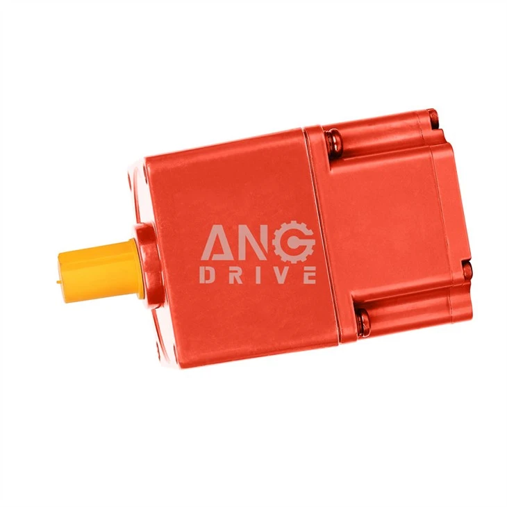 Motor Dc Motor